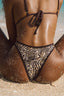 HAILEY BOTTOMS WILDE